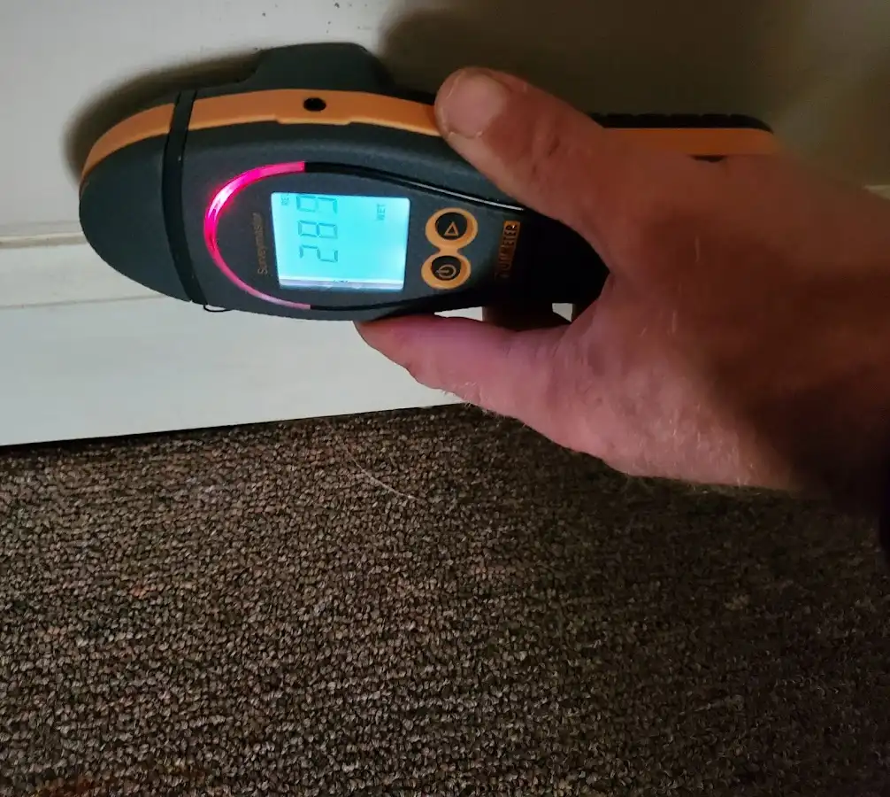 Moisture detection at baseboard during Sewage Cleanup & Sanitation in Park Hills